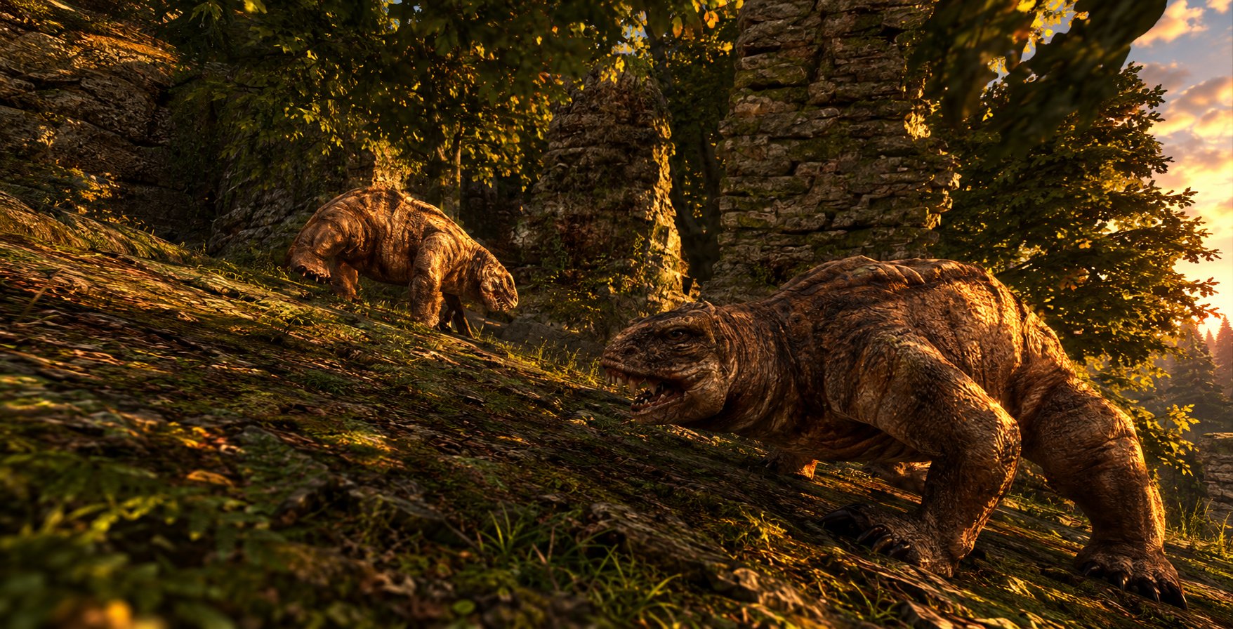 Wege durch die Wildnis